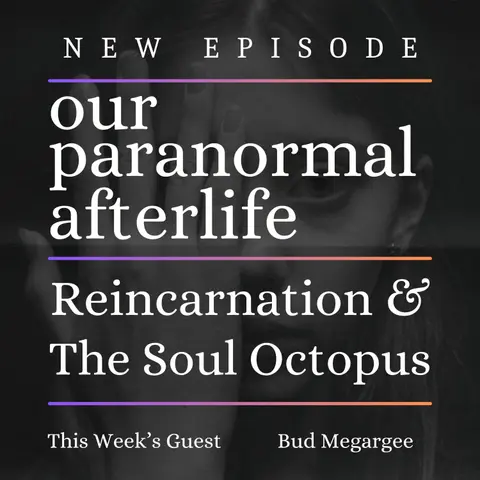 Reincarnation & The Soul Octopus Analogy