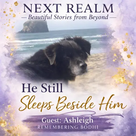 Over the Rainbow Bridge—Signs From Beyond After Pet Loss (Part 1)