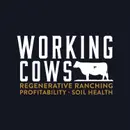 How a Great Vision Can Help Build a Fruitful Business (WCP 535)