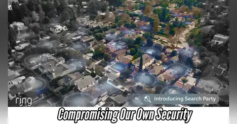 Compromising Our Own Security - Insanity Check