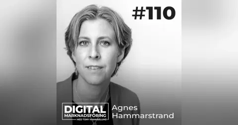 Juridik för marknadsförare och e-handlare 2023 – Agnes Hammarstrand #110