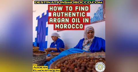 How to Find Authentic Argan Oil in Morocco