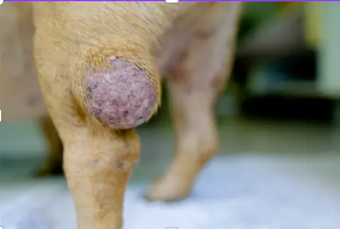 Another look at surgical margins for soft tissue sarcoma