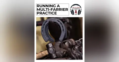 Running A Multi-Farrier Practice
