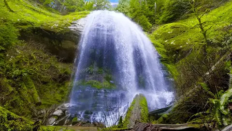 Chill Out by Forest Waterfall  ✨🌲Water Sounds for Sleep and Relaxation