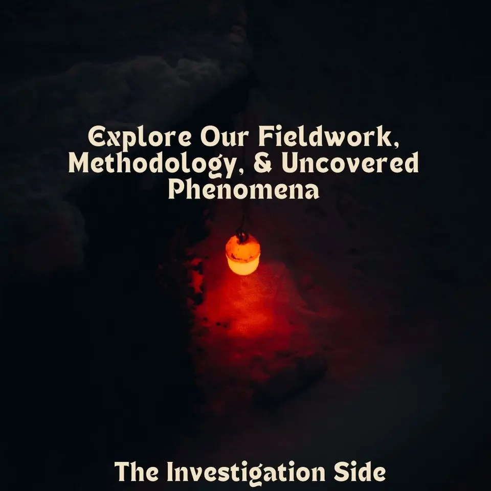 Our Ongoing Collaborations