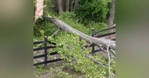 Mending Broken Fences