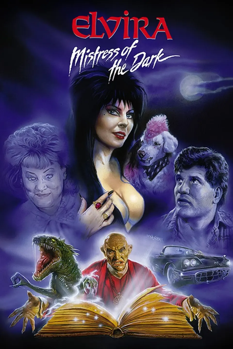 Elvira_-_Mistress_of_the_Dark.webp Elvira, Mistress of the Dark movie