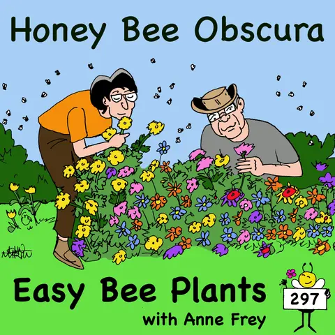 Easy Bee Plants with Anne Frey (297)