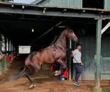 Ferocious with Ramiro Restrepo