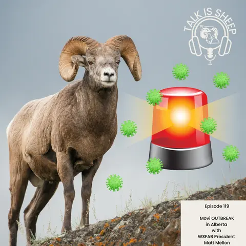 EP 119:  M.ovi outbreak in Alberta with Matt Mellon - President WSF Alberta