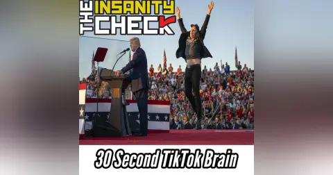 30 Second TikTok Brain - Insanity Check