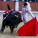 Al Alimon: Fracaso de El Vellosino en Las Ventas y el regreso de Morante y Roca Rey