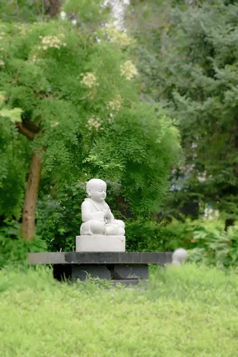 The Healing Power of Forgiveness: Free Your Heart and Reclaim Your Peace