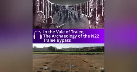 In the Vale of Tralee Audiobook