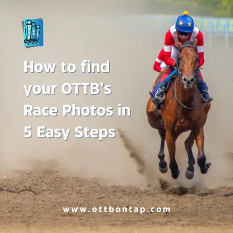 Looking for Your OTTB's Race Photos? Find them in 5 Easy Steps!