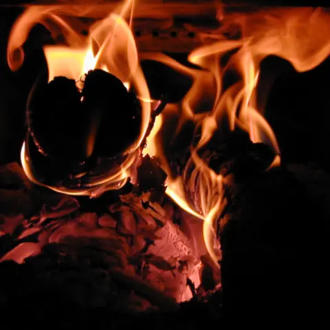 Firewood: Keeping It Local!