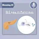 Monolog 23 - ILC you in pancreas 2