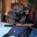 Cuídate, te quiero