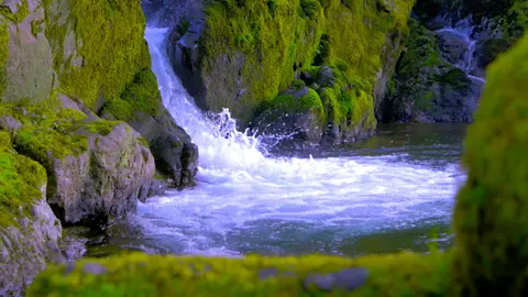 Relaxing Sound of Water Flowing | Find Calm, Stress Relief or Sleep with Nature White Noise