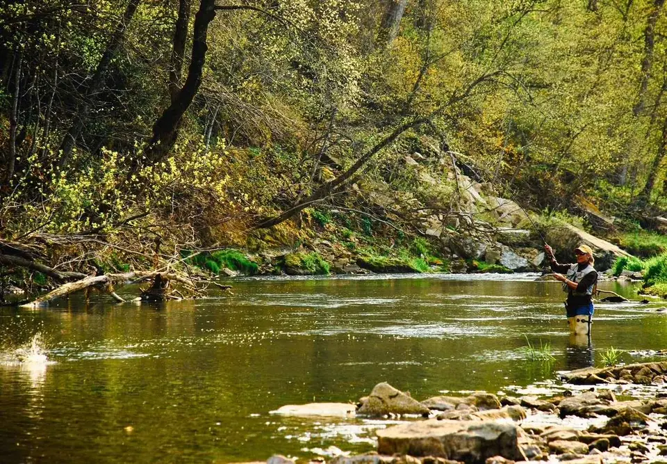 Nice hook up in the Driftless:  trout fishing