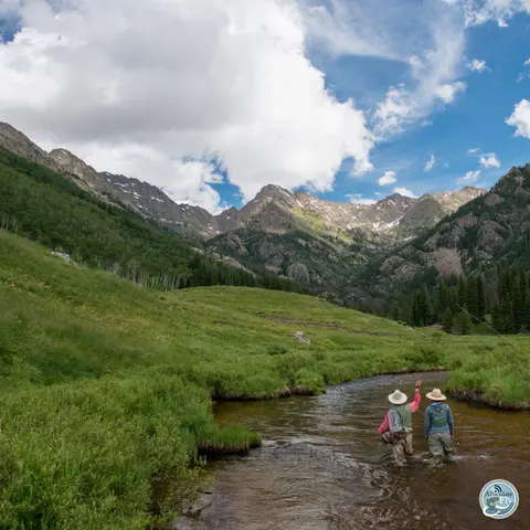 S8, Ep 66: The Roadless Rule Debate: Chris Wood on Protecting America's Wild Spaces and What You Can Do