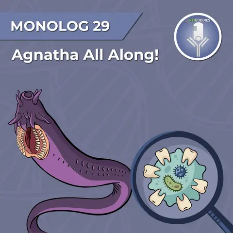 Monolog 29 - Agnatha All Along: The immune system of the jawless fish