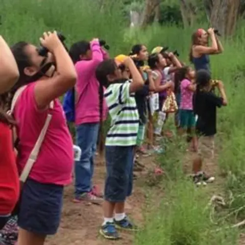 Valle Vista Bird Watchers