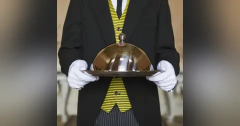 Professional Servants