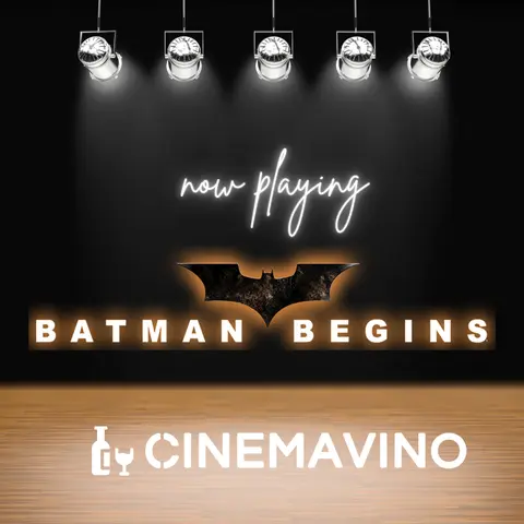 Batman Begins Reshaped the Superhero Movie | Review