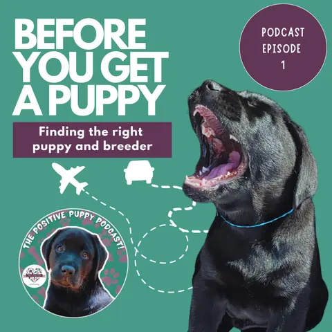 Episode 1: Before You Get A Puppy