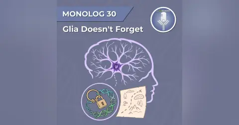 Monolog 30 - The glia doesn't forget