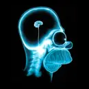 SoberNotMature - Episode 236 (Underdeveloped Brains And Other Modern Problems)