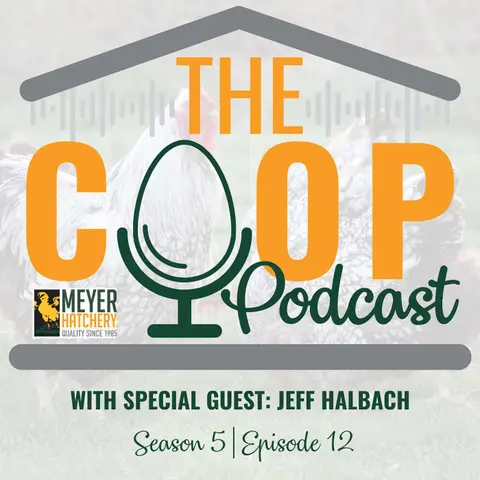 Poultry Shows, Judging, and Breed Standards with APA President Jeff Halbach