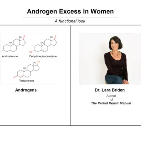 Androgen Excess in Women with Dr. Lara Briden episode #38