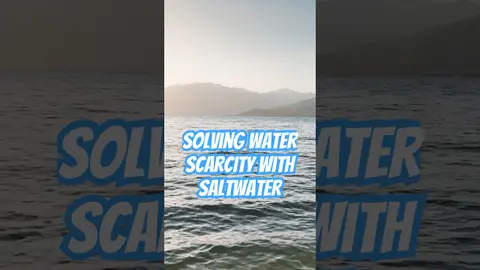 Could Next-Gen Desalination SOLVE Water Scarcity in the U.S.?
