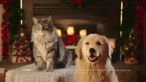 Harper the Dog and Schmagel the Cat's Connecticut Lottery Holiday Commercial