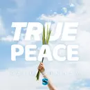True Peace – Palm Sunday