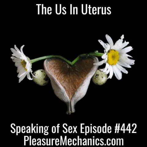 The Us In Uterus