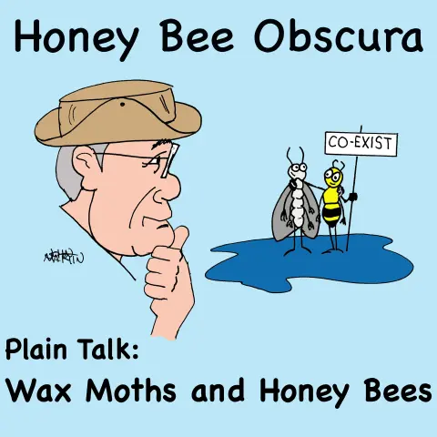 Plain Talk: Wax Moths and Honey Bees (193)
