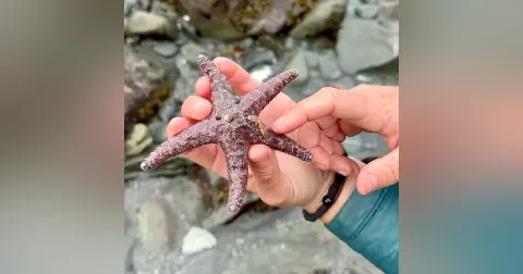 Tide Pools with Michelle Kunst