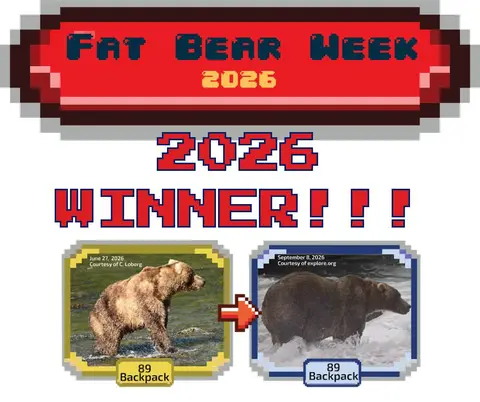 Fat Bear Week Winner