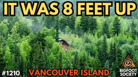Something Pounded Their Cabin at 3 AM on Vancouver Island