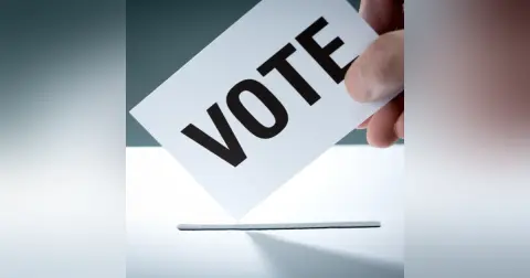 How Do Elections Work?