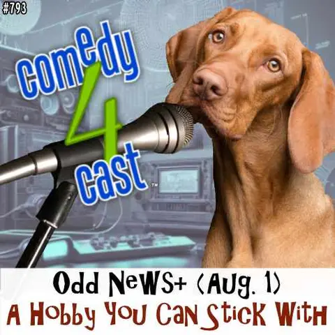 A Hobby You Can Stick With