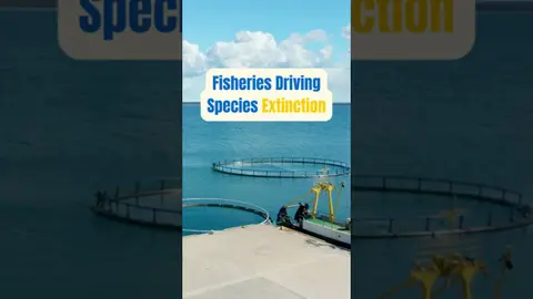 Matthew Gianni explains how fishing can push species toward commercial or ecological extinction.  🎧