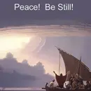 Jesus and the Storms of Life: Good or Bad Biblical Interpretation?