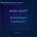 Everything is Conscious?