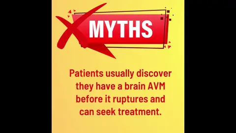 Brain AVM: Arteriovenous Malformation Fact