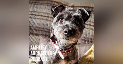 Viking Dogs – Amplify Archaeology Podcast